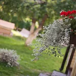 Osrodek Wypoczynkowy Wagabunda Vakantiepark Mikołajki
