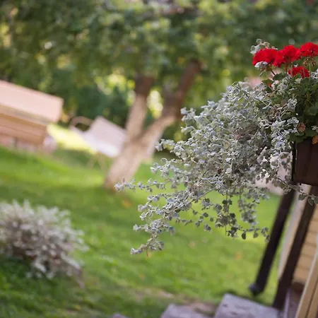 Osrodek Wypoczynkowy Wagabunda منتزه العطل Mikołajki