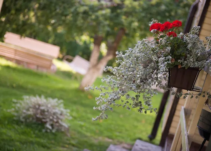 Osrodek Wypoczynkowy Wagabunda Vakantiepark Mikołajki